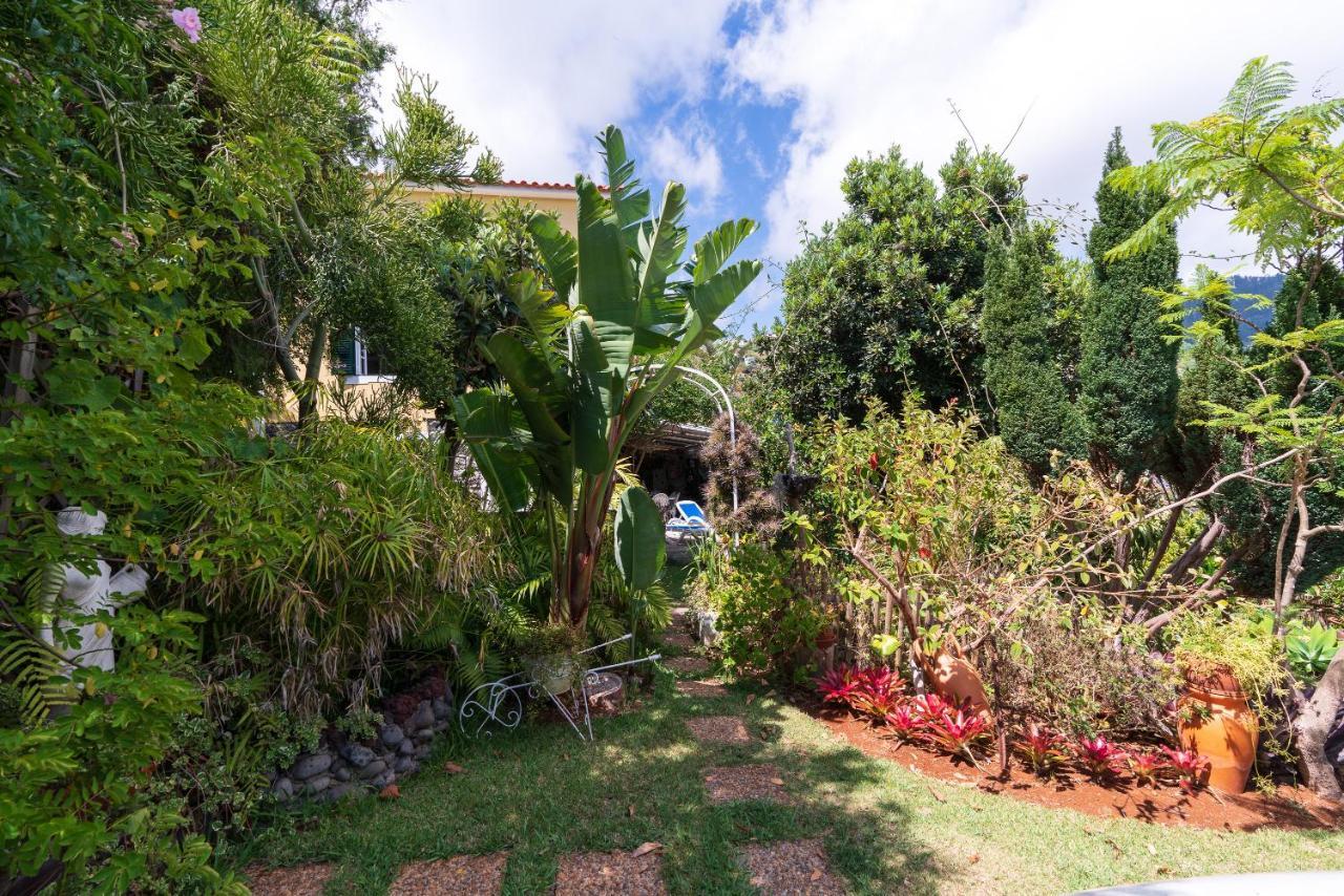 Cyane & Vigo'S Cottage, Caminho Do Massapez, N.º40 Arco da Calheta  Kültér fotó